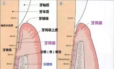 AG真人平台(中国)官方网站