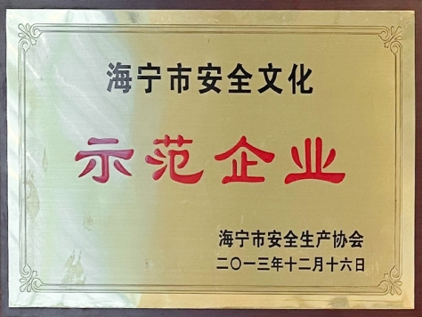 2013年度海宁市安全文化示范企业